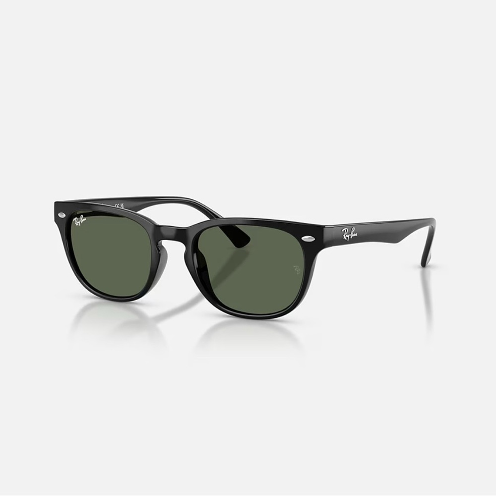 Ray-Ban Black Sunglasses